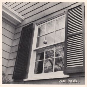 Download track What A Pleasure Beach Fossils