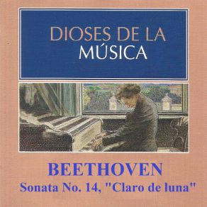 Download track Piano Sonata No. 8 In C Minor, Op. 13: III. Rondo. Allegro Dubravka Tomsic