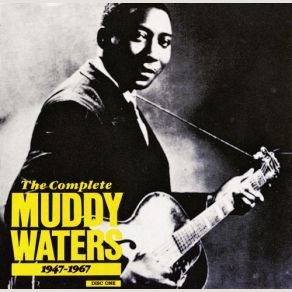 Download track Mean Red Spider Muddy Waters