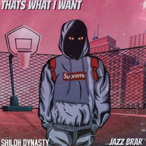 Download track Thats What I Want Shiloh Dynasty