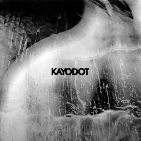 Download track And He Built Him A Boat Kayo Dot