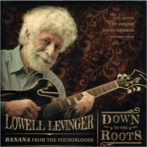 Download track Nobody Knows You When You're Down And Out Lowell LevingerDavid Grisman
