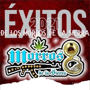 Download track El Jr Morros De La Sierra