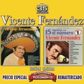 Download track Me Basta (Con Un Poco De Tu Amor) (Tema Remasterizado) Vicente FernándezUn Poco De Tu Amor