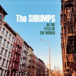 Download track Dreamville Shrimps