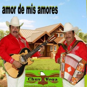Download track Bodas De Oro Chuy Vega