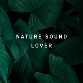 Download track Feel Relaxed In The Sound Of Nature Elements Of Nature