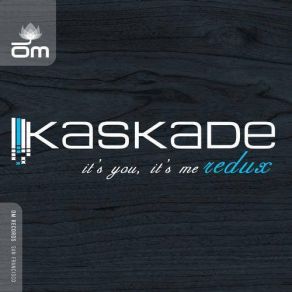Download track What I Say Kaskade