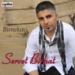 Download track Newroz Servet Birhat