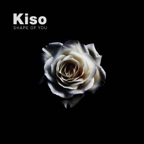 Download track Shape Of You Kiso