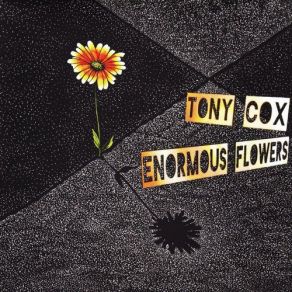 Download track Sunday Papers Tony Cox