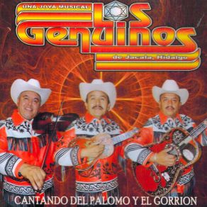 Download track Alvaro García Rodríguez Los Genuinos De Jacala Hidalgo