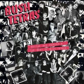 Download track You Don't Know Me Bush Tetras