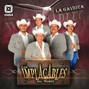 Download track La Gaviota Los Implacables Del Norte