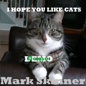 Download track Good Luck Convincing Me Cats Aren'T Allowed Mark Skinner