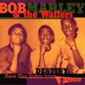 Download track Do It Right Bob Marley, The Wailers