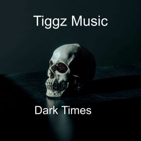 Download track Dark Times Tiggz Music