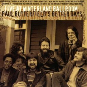 Download track Countryside Paul Butterfield'S Better Days