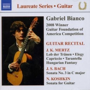 Download track 05 - 3 Morceaux, Op. 65 - No. 1. Fantaisie Hongroise Gabriel Bianco