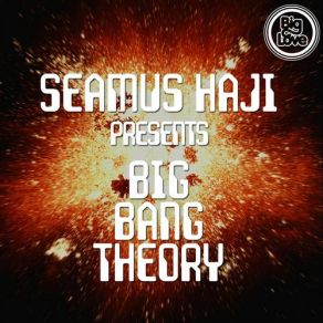 Download track Steppin (Original Mix) SEAMUS HAJI, Big Bang Theory