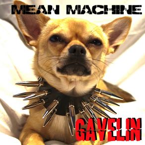 Download track 5 Am Gavelin