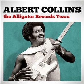 Download track Broke Albert Collins