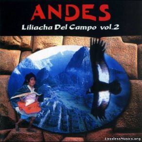 Download track Andes / Amor De Mi Vida (Danza) Andes