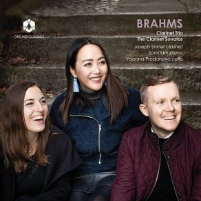 Download track 07. Clarinet Sonata In F Minor, Op. 120 No. 1- III. Allegretto Grazioso Johannes Brahms
