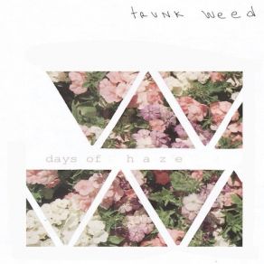 Download track On Your Own Trunk Weed