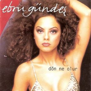 Download track Don Ne Olur Ebru Gündeş