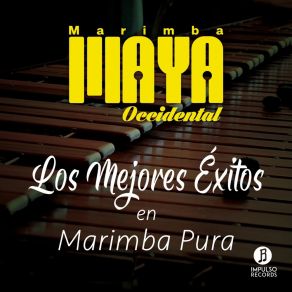 Download track Toda Una Vida Marimba Maya Occidental