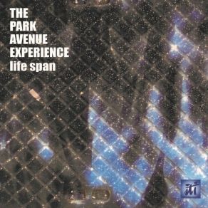 Download track Water Under The Bridge The Park Avenue Experience