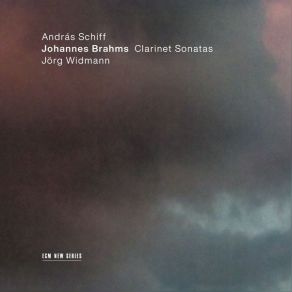 Download track 10 - 2. Andante Un Poco Adagio Johannes Brahms