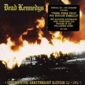 Download track Stealing People's Mail The Dead Kennedys