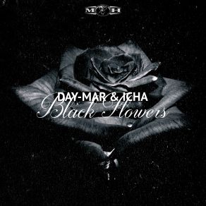 Download track Black Flowers (Radio Edit) Day - Mar, Icha