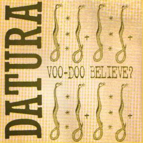 Download track Voo-Doo Believe? (Radio Edit) DATURA