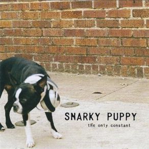 Download track Hot And Bothered Snarky Puppy