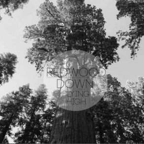 Download track Flying Redwood Down