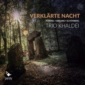 Download track 10. Verklärte Nacht, Op. 4 - III. Schwer Betont Trio Khaldei
