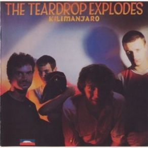 Download track Reward The Teardrop Explodes