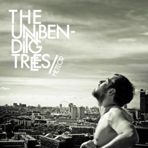 Download track What Do You Know The Unbending Trees