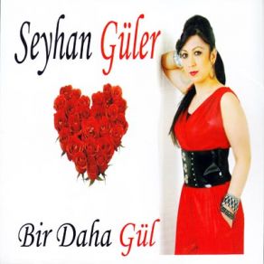 Download track Neyleyim Seyhan Güler