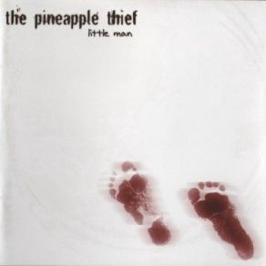 Download track November The Pineapple Thief
