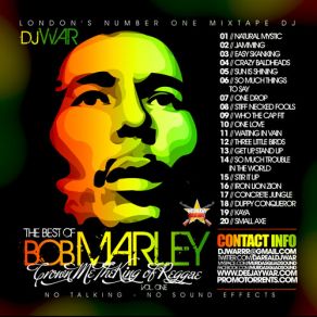 Download track Stiff Necked Fools Bob Marley, Dj Leak