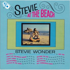Download track The Party At The Beach House Stevie Wonder