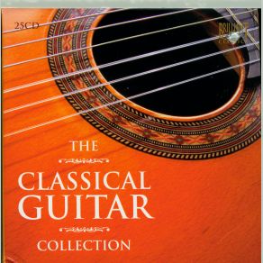 Download track Concerto For Guitar & Orchestra In A Major, Op. 8a: Allegro Brilliant Guitar