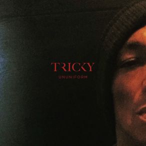 Download track When We Die TrickyMartina Topley - Bird