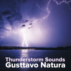 Download track Stormy Day Gusttavo Natura
