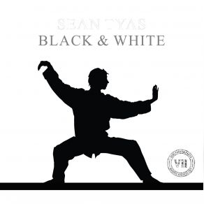 Download track Black And White (Original Mix) Sean Tyas