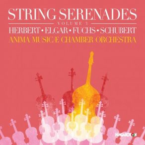 Download track Elgar: Serenade For String Orchestra In E Minor, Op. 20: I. Allegro Piacevole Anima Musicae Chamber Orchestra